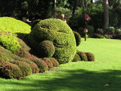 Voyage à Nantes Jardin des Plantes 2014, IMG_3456