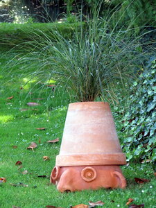 Voyage à Nantes Jardin des Plantes 2014, IMG_3479