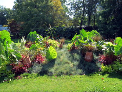 Voyage à Nantes Jardin des Plantes 2014, IMG_3480