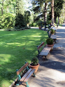 Voyage à Nantes Jardin des Plantes 2014, IMG_3505