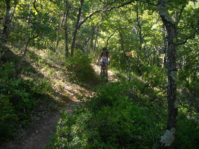 TOUR DE COSTE EYGUIERES 02 09 14 (Randonnée VTT, Contreforts du Lubéron) : 20.1 km, 1 h 59 à 10.1 km/h de moyenne, 390 m de dénivellation positive cumulée, parcours peu difficile. Météo : grand beau temps. Participants : Odette et Marcel., Début de la descente vers Font Blanche
