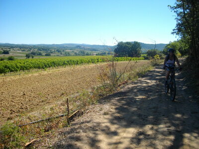 TOUR DE COSTE EYGUIERES 02 09 14 (Randonnée VTT, Contreforts du Lubéron) : 20.1 km, 1 h 59 à 10.1 km/h de moyenne, 390 m de dénivellation positive cumulée, parcours peu difficile. Météo : grand beau temps. Participants : Odette et Marcel., Le long des vignes...