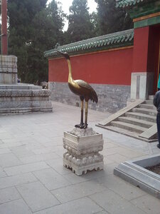 Beihai - Lac dans Pékin, Photo0618