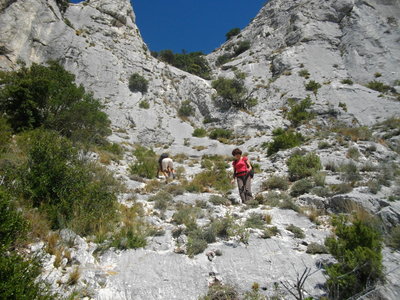 SENTIER DES CANTILENES - PAS DU CHAT (Randonnée sportive, Sainte-Victoire) : 4.71 km, 3 h, 600 mp de dénivellation positive cumulée, P2, T2/T3. Météo : grand beau temps chaud. Participants : Armelle, Colette, Alain et Marcel., Sous le Pas du Chat