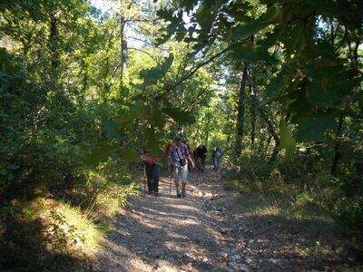 ANSOUIS - VILLELAURE (Randonnée pédestre, Lubéron) :13 km, 4 h, 350 m de dénivellation positive cumulée, P1, T1. Météo : beau temps. 14 participants, IMGP8370