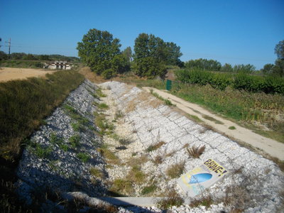 LE LONG DU RHÔNE A ARLES  (Randonnée VTT) : 21.5 km, 1 h 26 à 14.7 km/h, 98 m de dénivellation positive cumulée, parcours facile. Météo : beau temps, mistral. Participant : Marcel, Roubine près du Mas Glave