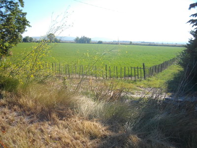 LE LONG DU RHÔNE A ARLES  (Randonnée VTT) : 21.5 km, 1 h 26 à 14.7 km/h, 98 m de dénivellation positive cumulée, parcours facile. Météo : beau temps, mistral. Participant : Marcel, La campagne près du Mas des Tours