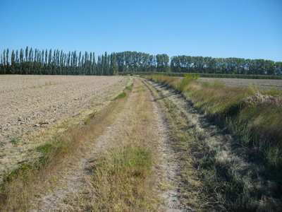 LE LONG DU RHÔNE A ARLES  (Randonnée VTT) : 21.5 km, 1 h 26 à 14.7 km/h, 98 m de dénivellation positive cumulée, parcours facile. Météo : beau temps, mistral. Participant : Marcel, Vers le Mas de Piquet