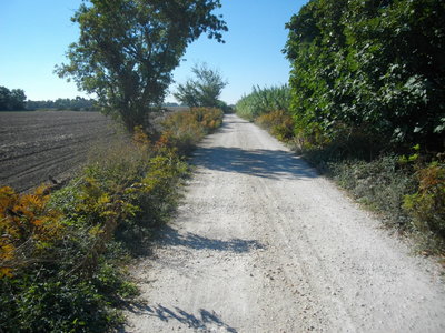 LE LONG DU RHÔNE A ARLES  (Randonnée VTT) : 21.5 km, 1 h 26 à 14.7 km/h, 98 m de dénivellation positive cumulée, parcours facile. Météo : beau temps, mistral. Participant : Marcel, Chemin des Ségonnaux
