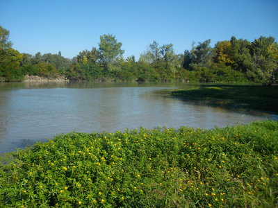 LE LONG DU RHÔNE A ARLES  (Randonnée VTT) : 21.5 km, 1 h 26 à 14.7 km/h, 98 m de dénivellation positive cumulée, parcours facile. Météo : beau temps, mistral. Participant : Marcel, Bras du Rhône près du Mas Ferrier