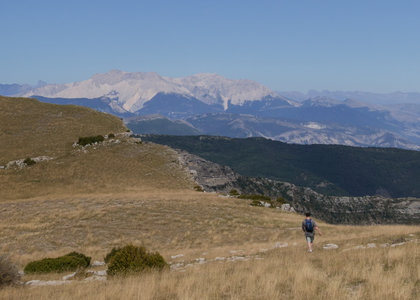 Randonnée Sapinière de Sarcena - Laup Froid, Maximus à l’attaque du Vercors 