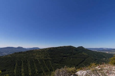 Randonnée Sapinière de Sarcena - Laup Froid, Montagne rainurée