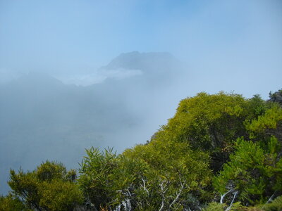 GRAND BENARE 19 09 2014 (Randonnée en montagne, île de la Réunion) : 16.2 km, 5 h, 765 m de dénivellation positive cumulée, P1/P2, T1. Météo : brumeux à nuageux. Participants : Charles et Marcel , Le Piton des Neiges émerge de la brume.