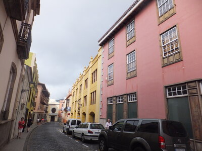 Pedro, DSCF5972