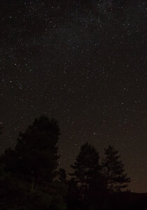 SkyNight, IMG_8957-2