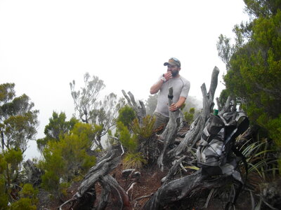 PITON PLAINE DES FOUGERES (Randonnée pédestre, île de la Réunion) : 10.7 km, 3 h 45, 630 m de dénivellation positive cumulée, P1, T1. Météo : nuageux, puis brouillard. Participants : Charles et Marcel., Au sommet du Piton Plaine des Fougères (1800 m)... dans le brouillard