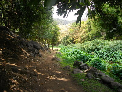 TOUR DES ROCHES ET DE L'ETANG 23 09 14 (Randonnée VTT, île de la Réunion) : 28.6 km, 2 h 27 à 11.7 km/h de moyenne, 423 m de dénivellation positive cumulée, parcours peu difficile. Météo : nuageux. Participant : Marcel. , Sur le circuit des Roches