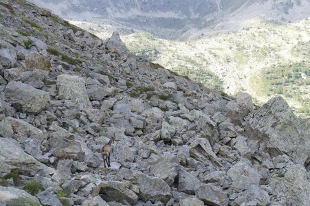 2014-09-mercantour-merveilles, rando-trek-mercantour-merveilles-alpes-aventure-2014-09-36