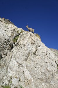 2014-09-mercantour-merveilles, rando-trek-mercantour-merveilles-alpes-aventure-2014-09-50