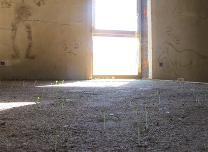 Chantier aout 2014, dalle germe