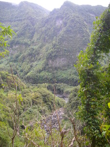 CASCADE BLANCHE 11 10 14 (Saint-André, Ile de la Réunion), La ravine de la Rivière du Mât