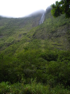 CASCADE BLANCHE 11 10 14 (Saint-André, Ile de la Réunion), IMGP8890