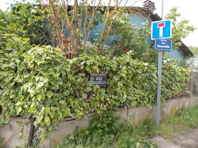 Banlieue, DSCN0187