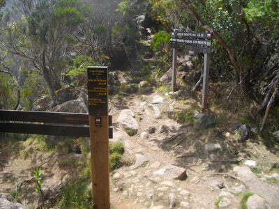 TOUR DU PITON DES NEIGES, 1ère ETAPE : HELL-BOURG (Cirque de salazie) - LA ROCHE MERVEILLEUSE (Cirque de Cilaos) Ile de la Réunion ; 6 h 30 de marche, 1505 m  , 1065 m - ; P3, T1.Météo :nuageux, passages de brouillard. Participant : Marcel, Arrivée au Cap Anglais