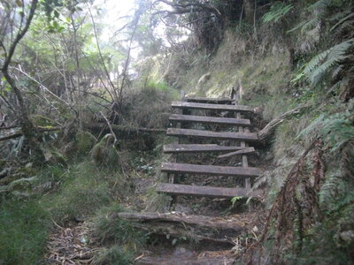 TOUR DU PITON DES NEIGES, 3ème ETAPE : MARLA (Mafate) - HELL-BOURG (Salazie) : 19.5 km, 7 h 15, 1100 m  , 1485 m - ; P3, T1. Météo : nuageux puis brouillard suintant, et à nouveau nuageux. Participant : Marcel, Equipement sommaire et non homologué sous le Col la Fourche.