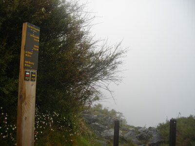 TOUR DU PITON DES NEIGES, 3ème ETAPE : MARLA (Mafate) - HELL-BOURG (Salazie) : 19.5 km, 7 h 15, 1100 m  , 1485 m - ; P3, T1. Météo : nuageux puis brouillard suintant, et à nouveau nuageux. Participant : Marcel, Col la Fourche, dans le brouillard-qui-pisse.