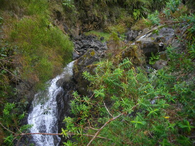 TOUR DU PITON DES NEIGES, 3ème ETAPE : MARLA (Mafate) - HELL-BOURG (Salazie) : 19.5 km, 7 h 15, 1100 m  , 1485 m - ; P3, T1. Météo : nuageux puis brouillard suintant, et à nouveau nuageux. Participant : Marcel, Depuis la passerelle de la Ravine Poil de Chien.