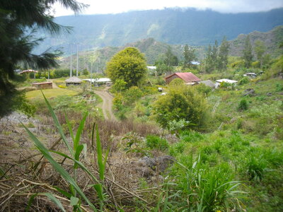 TOUR DU PITON DES NEIGES, 3ème ETAPE : MARLA (Mafate) - HELL-BOURG (Salazie) : 19.5 km, 7 h 15, 1100 m  , 1485 m - ; P3, T1. Météo : nuageux puis brouillard suintant, et à nouveau nuageux. Participant : Marcel, Arrivée à la Mare d'Affouches