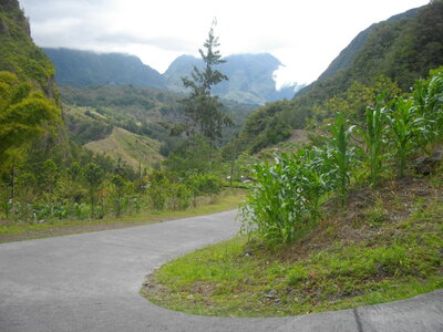 TOUR DU PITON DES NEIGES, 3ème ETAPE : MARLA (Mafate) - HELL-BOURG (Salazie) : 19.5 km, 7 h 15, 1100 m  , 1485 m - ; P3, T1. Météo : nuageux puis brouillard suintant, et à nouveau nuageux. Participant : Marcel, A Bras Marron