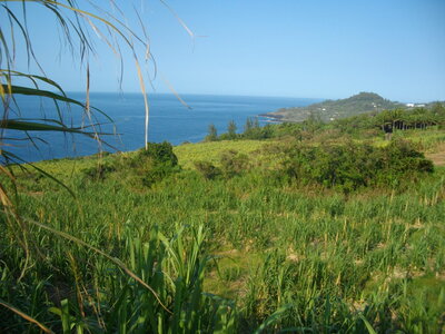CÔTES SUD ET EST DE LA REUNION 16 10 14 : parcourues en partie à VTT entre St Philippe et Ste Rose ( 54 km, 3 h 32 à 15 km/h de moyenne, 455 m de dénivelé positif, parcours facile). Météo : beau à nuageux, fort vent de secteur sud. Participant : Marcel. , Vincendo