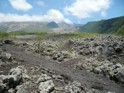 CÔTES SUD ET EST DE LA REUNION 16 10 14 : parcourues en partie à VTT entre St Philippe et Ste Rose ( 54 km, 3 h 32 à 15 km/h de moyenne, 455 m de dénivelé positif, parcours facile). Météo : beau à nuageux, fort vent de secteur sud. Participant : Marcel. , Coulée de 2002 vers le Rempart de Bois Blanc
