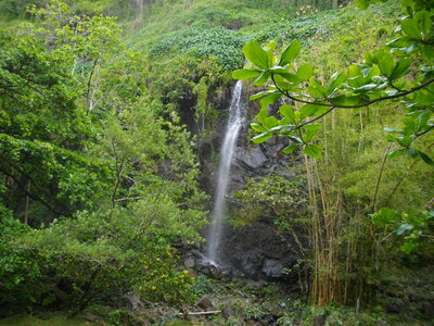 CÔTES SUD ET EST DE LA REUNION 16 10 14 : parcourues en partie à VTT entre St Philippe et Ste Rose ( 54 km, 3 h 32 à 15 km/h de moyenne, 455 m de dénivelé positif, parcours facile). Météo : beau à nuageux, fort vent de secteur sud. Participant : Marcel. , IMGP8984