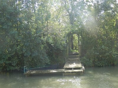 Déjeuner promenade sur la marne à Cumières le 19 Octobre 2014, L'ILE AUX ANES