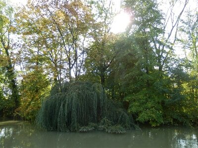 Déjeuner promenade sur la marne à Cumières le 19 Octobre 2014, L'ILE AUX ANES