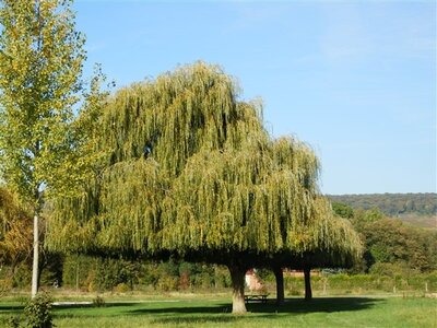 Déjeuner promenade sur la marne à Cumières le 19 Octobre 2014, CUMIERES REPAS PROMENADE 19 OCTO  91 