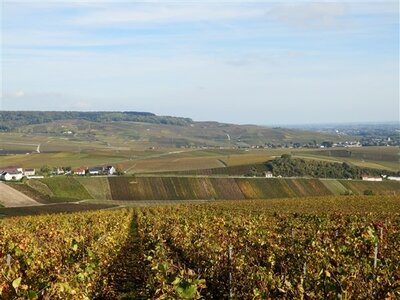 Déjeuner promenade sur la marne à Cumières le 19 Octobre 2014, CUMIERES REPAS PROMENADE 19 OCTO  94 