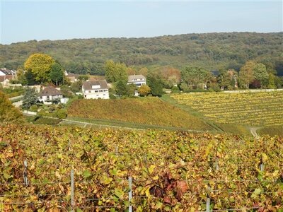 Déjeuner promenade sur la marne à Cumières le 19 Octobre 2014, CUMIERES REPAS PROMENADE 19 OCTO  96 