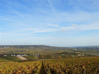 Déjeuner promenade sur la marne à Cumières le 19 Octobre 2014, POINT DE VUE HAUTVILLERS