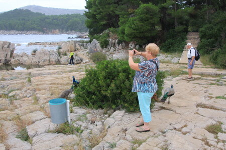 05 croisiere dubrovnik, 05 croisiere dubrovnik090