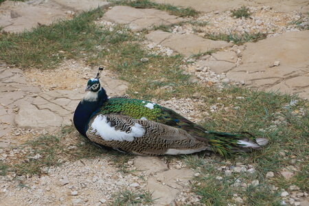 05 croisiere dubrovnik, 05 croisiere dubrovnik110