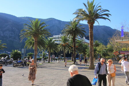 08 croisiere Kotor, 08 croisiere kotor 199