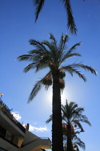 11 croisiere olbia sardaigne, 11 croisiere olbia 036