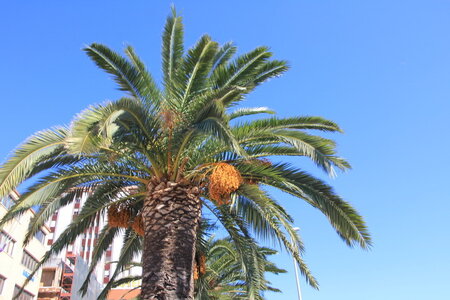 11 croisiere olbia sardaigne, 11 croisiere olbia 044