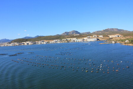 11 croisiere olbia sardaigne, 11 croisiere olbia 047