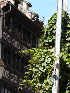 Strasbourg 2 septembre 2010, 03_Place_des_tripiers