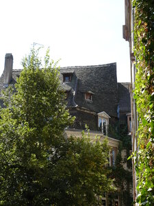Strasbourg 2 septembre 2010, 65_